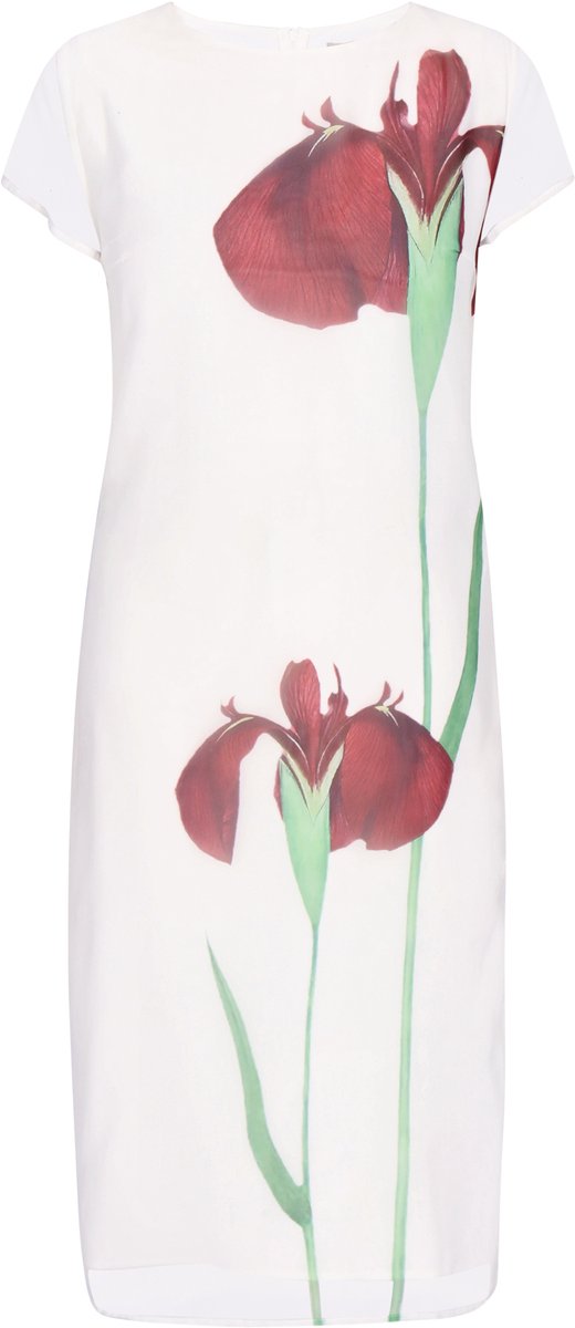 usha Dress
