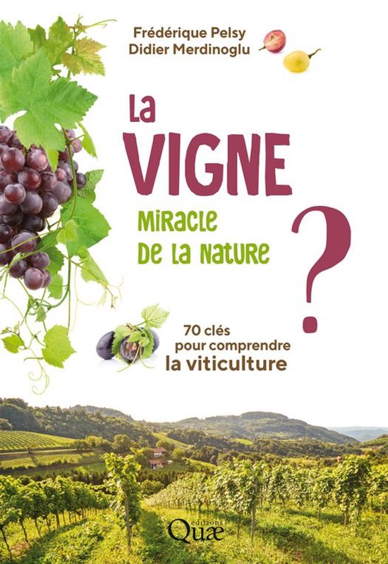 Clés pour comprendre - La vigne, miracle de la nature ? - cover