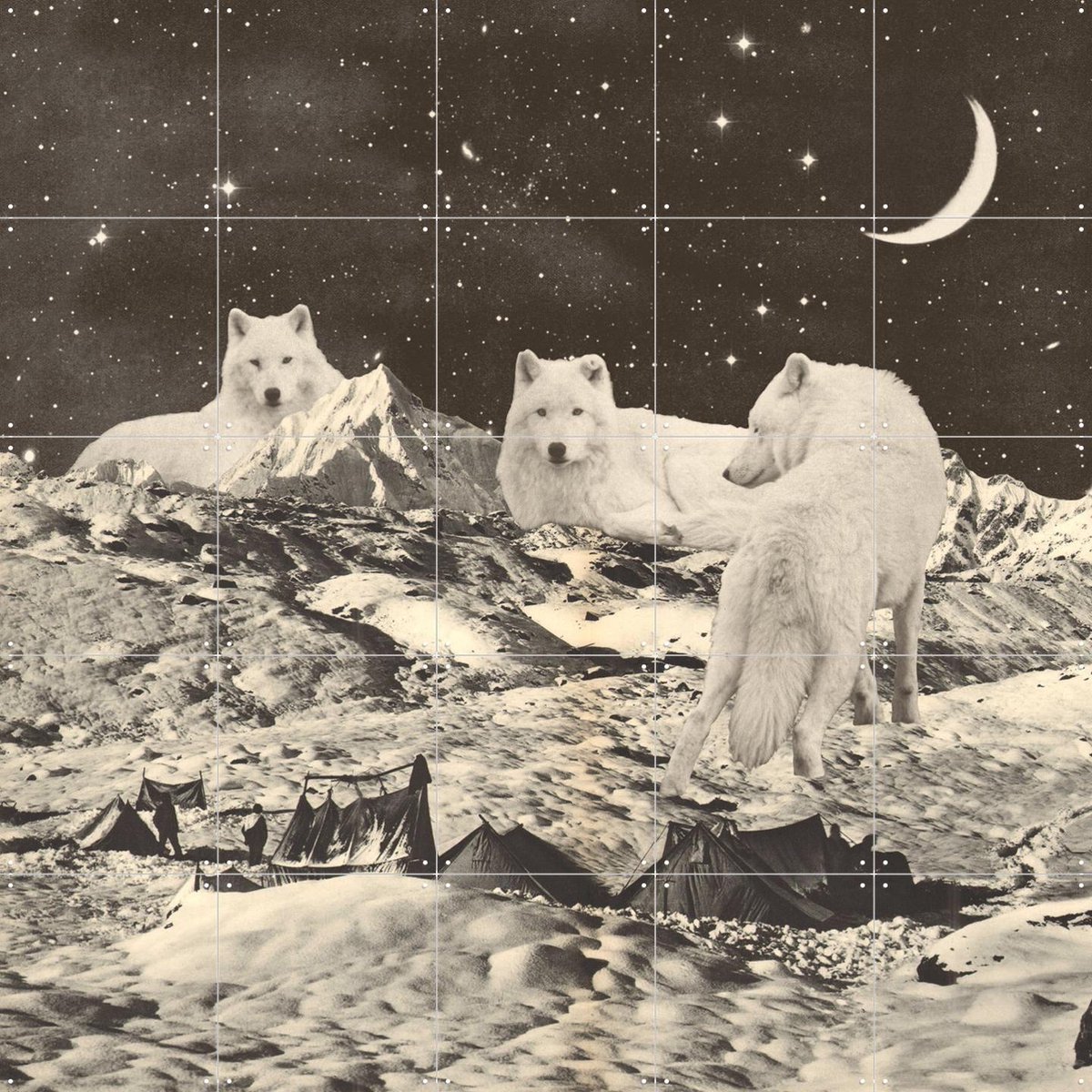 IXXI Giant White Wolves, Florent Bodart - 100 x 100 cm - Gratis ophangtool - Grote wanddecoratie en posters - Surrealisme, Collage, Vintage, Gemengde