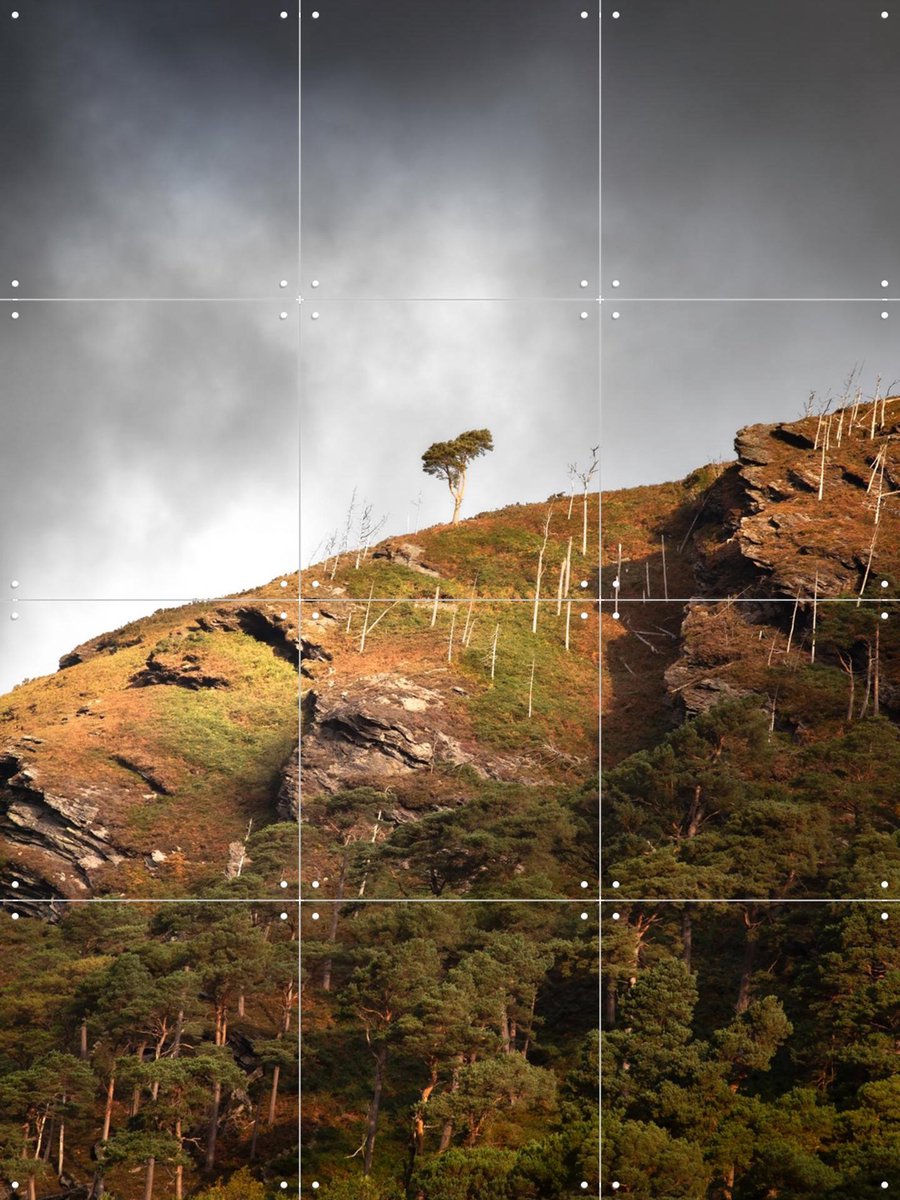 IXXI Lonely Tree Wicklow Mountains, Claire Droppert - 60 x 80 cm - Gratis ophangtool - Grote wanddecoratie en posters - Fotografie, Woonkamer, Bergen