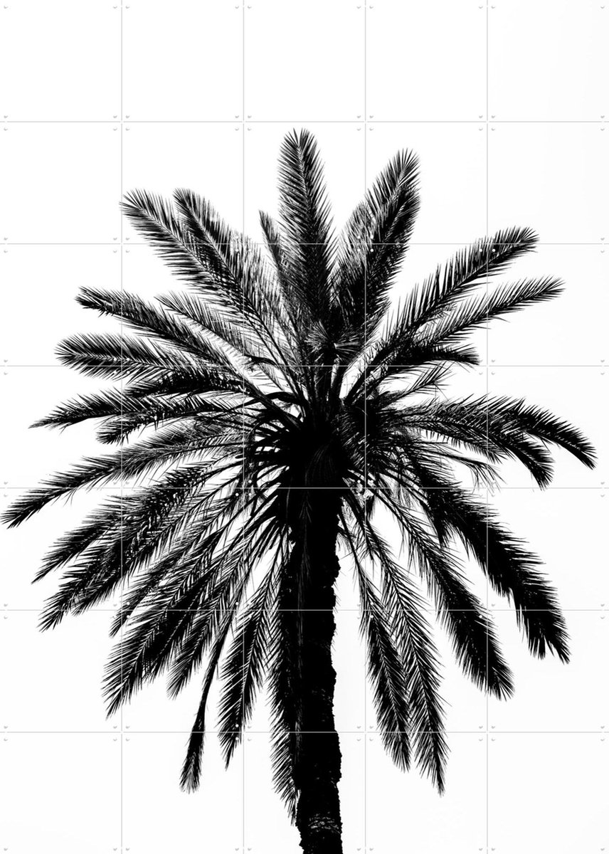 IXXI Palm in Palermo, Photolovers - 100 x 140 cm - Gratis ophangtool - Grote wanddecoratie en posters - Minimalisme, Fotografie, Woonkamer