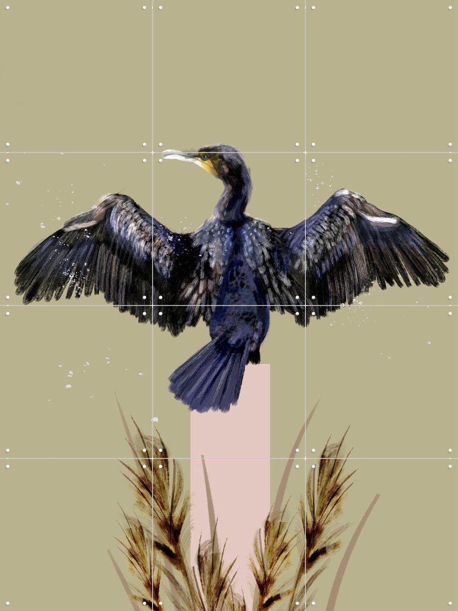 IXXI Cormorant, Esther Sepers - 60 x 80 cm - Gratis ophangtool - Grote wanddecoratie en posters - Kleurrijk, Digitale Kunst, Illustraties, Woonkamer