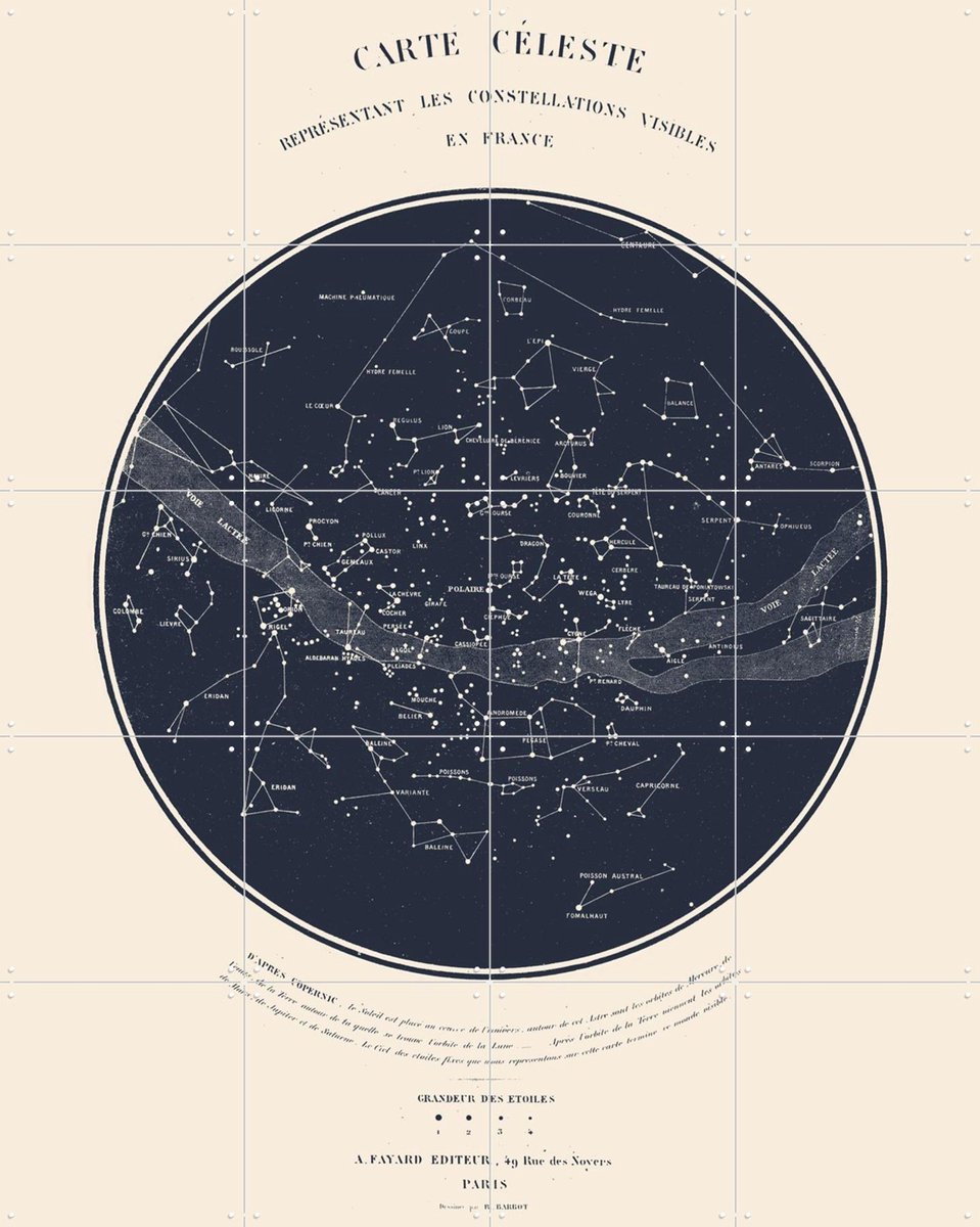 IXXI Carte Celeste Dark Blue, Aster Edition - 80 x 100 cm - Gratis ophangtool - Grote wanddecoratie en posters - Klassiek, Vintage, Houtsnede