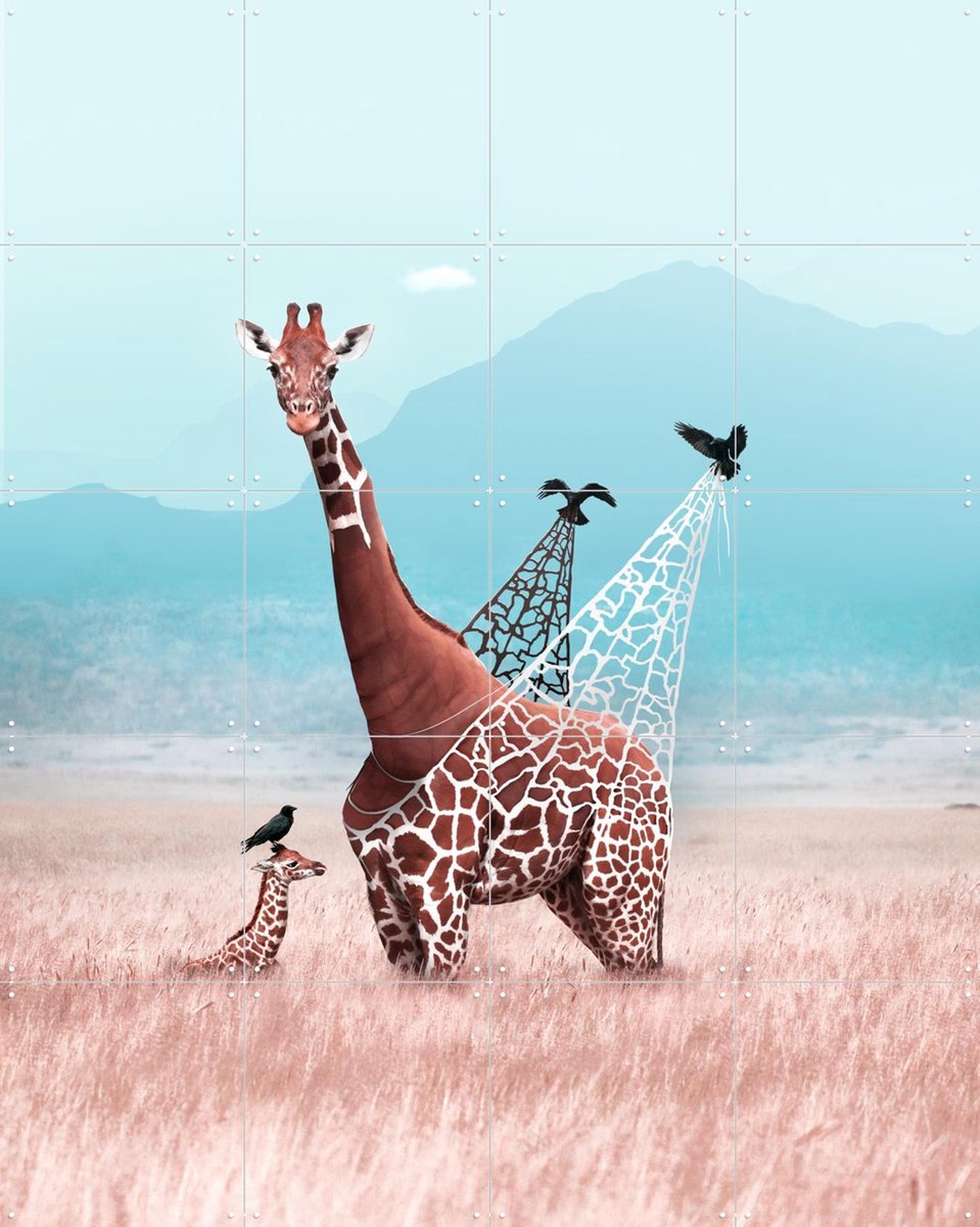 IXXI Haute Couture, Julien Tabet - 80 x 100 cm - Gratis ophangtool - Grote wanddecoratie en posters - Digitale Kunst, Speels, Surrealisme, Fotografie