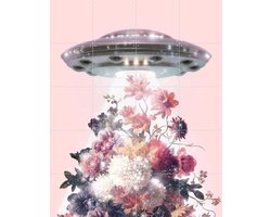 IXXI UFO, Paul Fuentes - 80 x 100 cm - Gratis ophangtool - Grote wanddecoratie en posters - Kleurrijk, Fotografie, Pop art, Speels, Vintage, Digitale