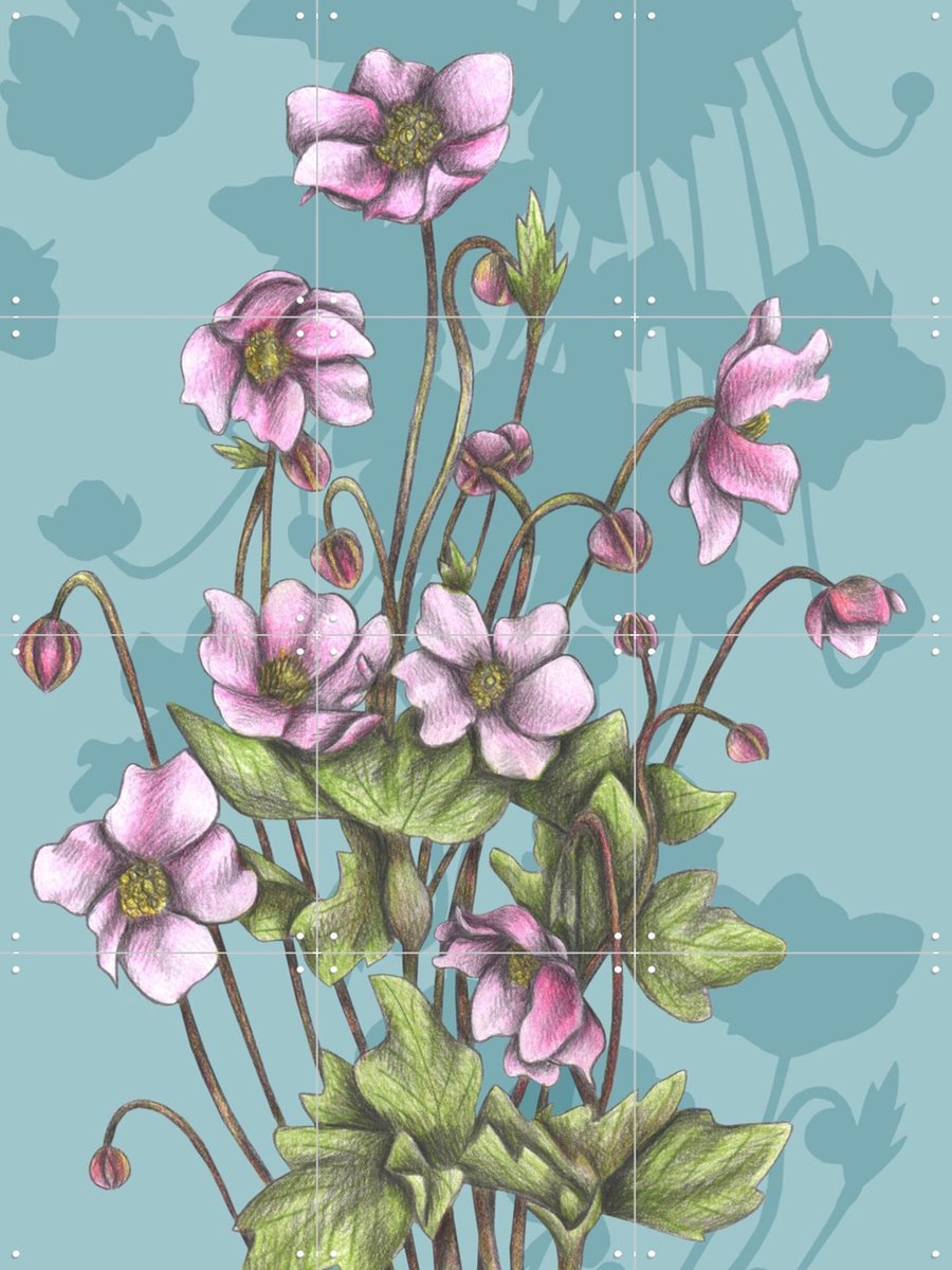 IXXI Winter Anemones, Cecilia Battaini - 60 x 80 cm - Gratis ophangtool - Grote wanddecoratie en posters - Aquarel, Naturalisme, Illustraties