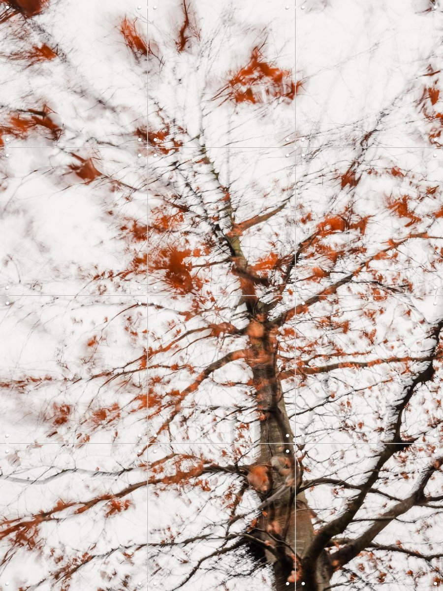 IXXI Autumn Tree, Photolovers - 60 x 80 cm - Gratis ophangtool - Grote wanddecoratie en posters - Abstract, Impressionisme, Fotografie, Slaapkamer
