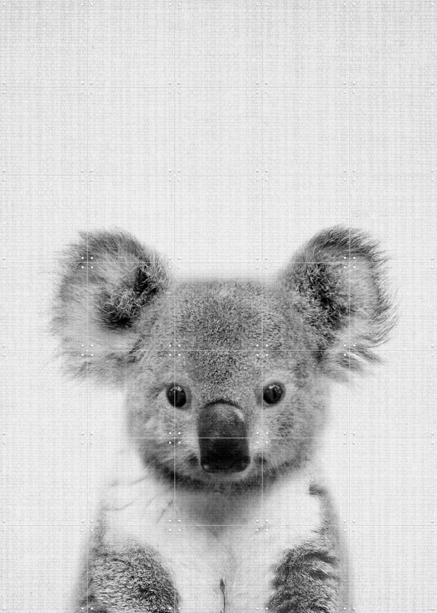 IXXI Print 67 Koala, Lila + Lola - 100 x 140 cm - Gratis ophangtool - Grote wanddecoratie en posters - Minimalisme, Fotografie, Babykamer, Woonkamer