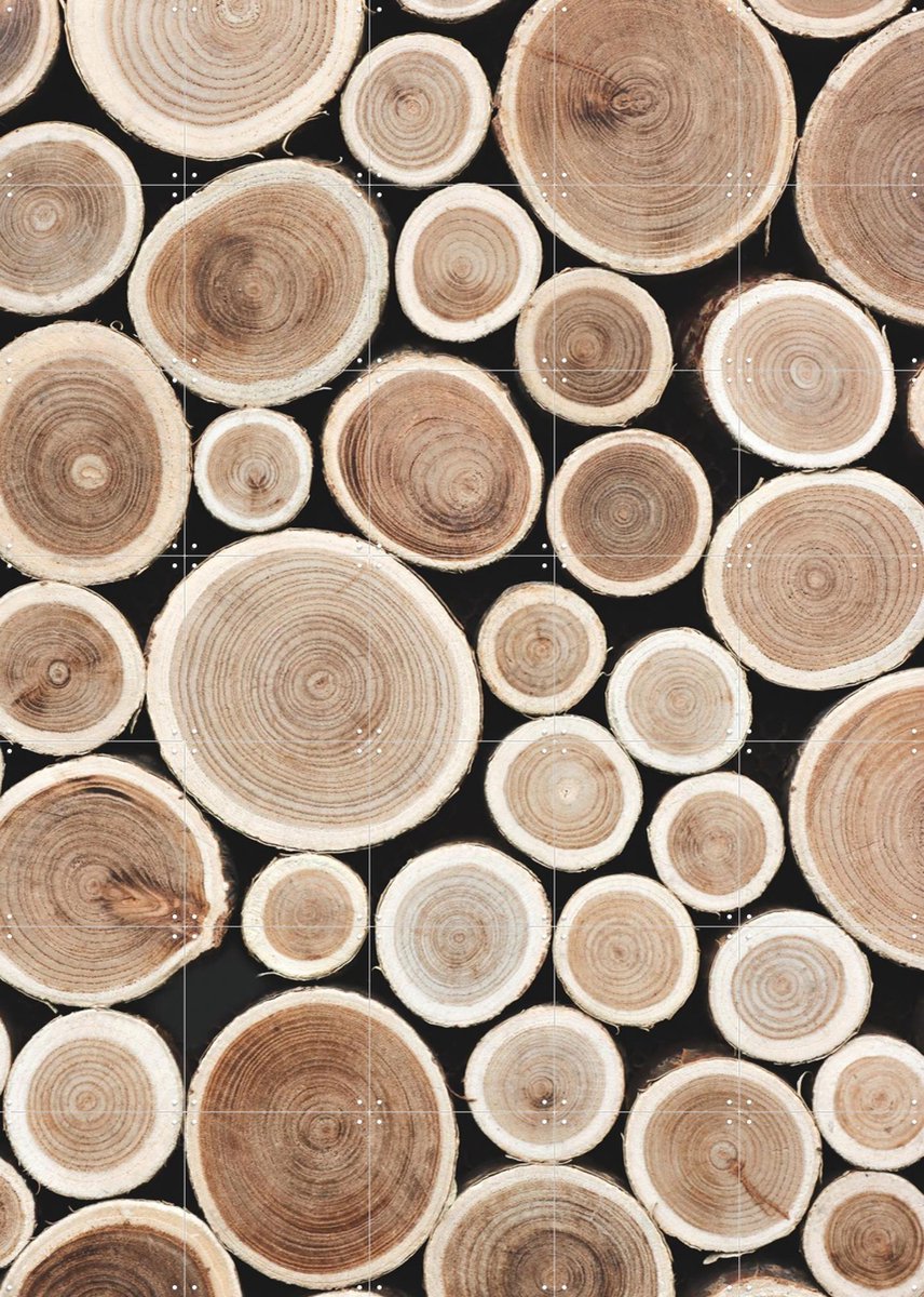 IXXI Cut Timber, Ingrid Beddoes - 100 x 140 cm - Gratis ophangtool - Grote wanddecoratie en posters - Naturalisme, Fotografie, Woonkamer, Slaapkamer