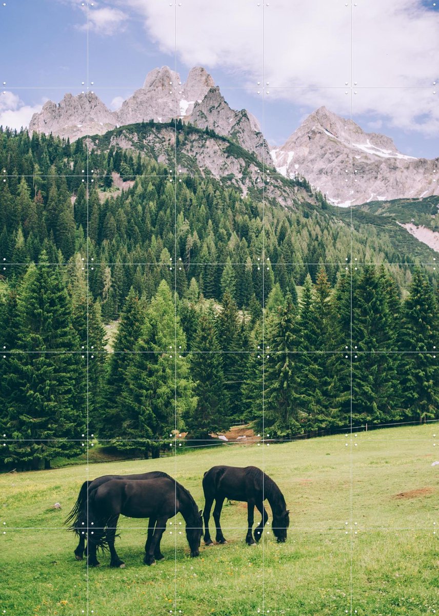 IXXI Friesian Horses in Alps, Pati Photography - 100 x 140 cm - Gratis ophangtool - Grote wanddecoratie en posters - Naturalisme, Fotografie