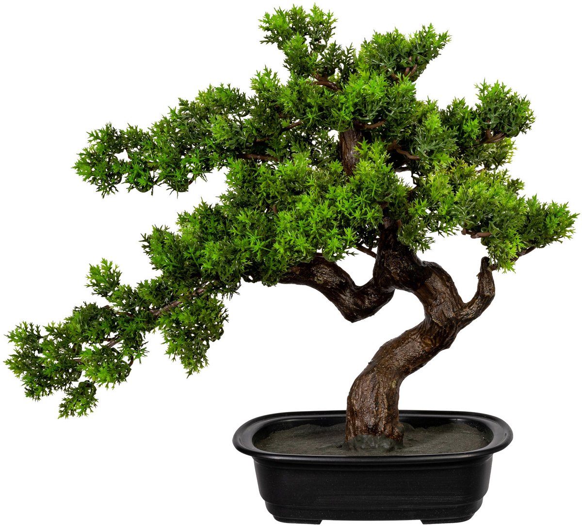 Kopu Myrthe Bonsai - Ca. 40x40 cm - In Een Zwarte Plastic Pot