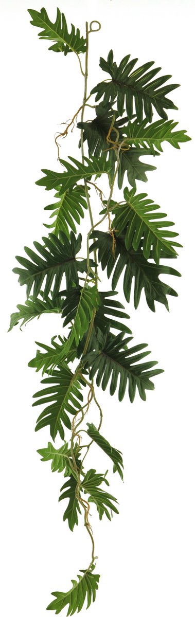 Erutan avon - Philo seloum garland green 105cm