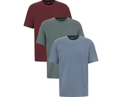 WE Fashion Heren Regular fit t-shirt van 100% katoen, 3-pack
