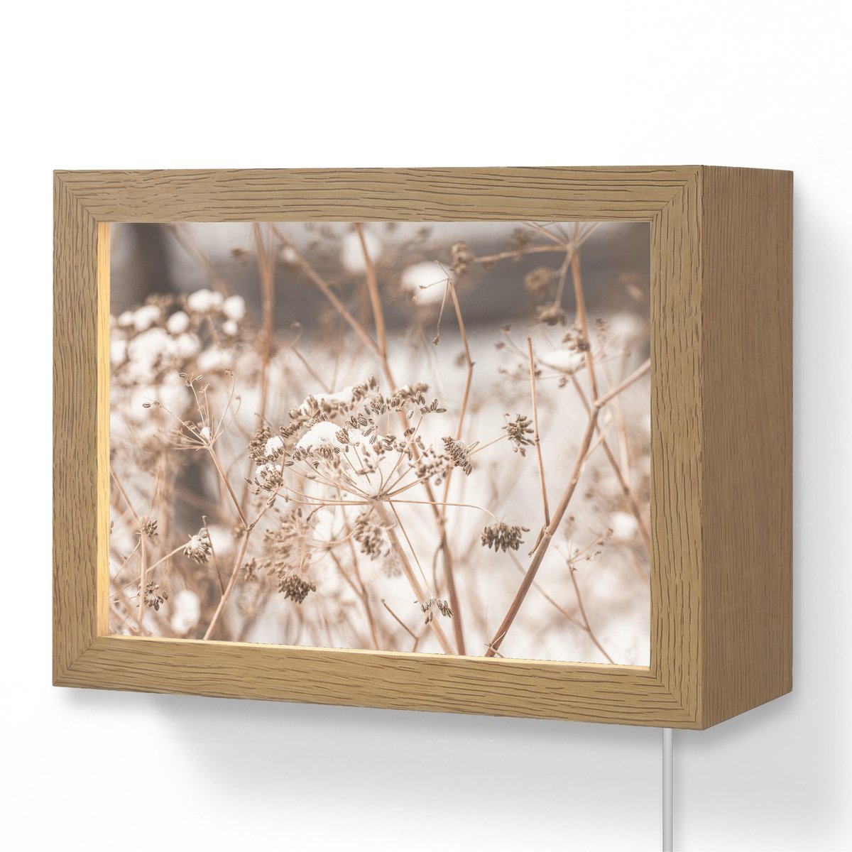 Wandlamp 20x15 cm - Oplaadbaar - Droogbloemen - Wit - Planten - Wandlampen binnen woonkame