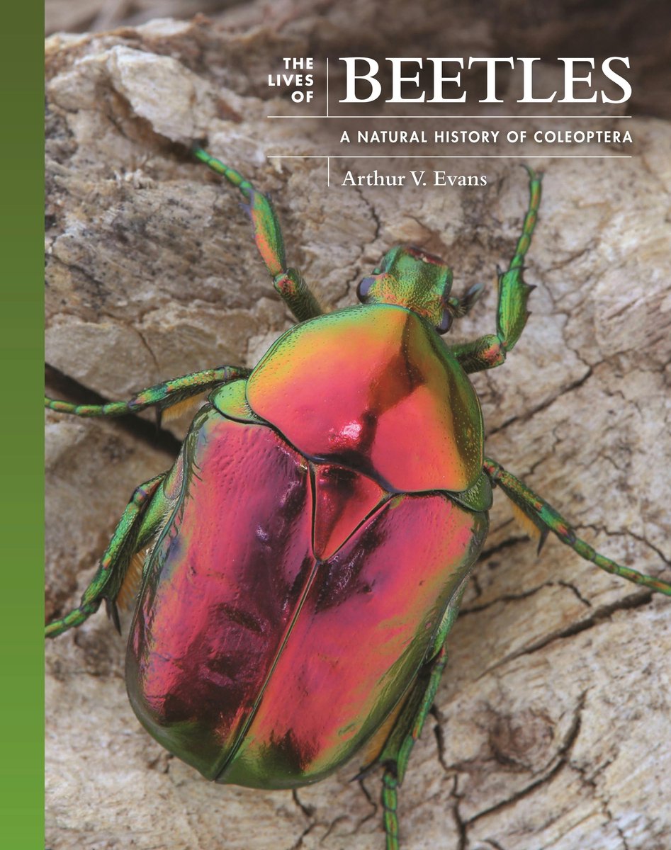 Omslag van The Lives of the Natural World-The Lives of Beetles