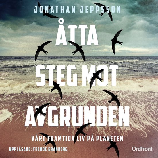 Åtta steg mot avgrunden - cover
