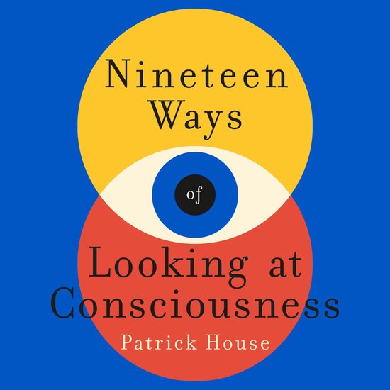Nineteen Ways of Looking at Consciousness - cover