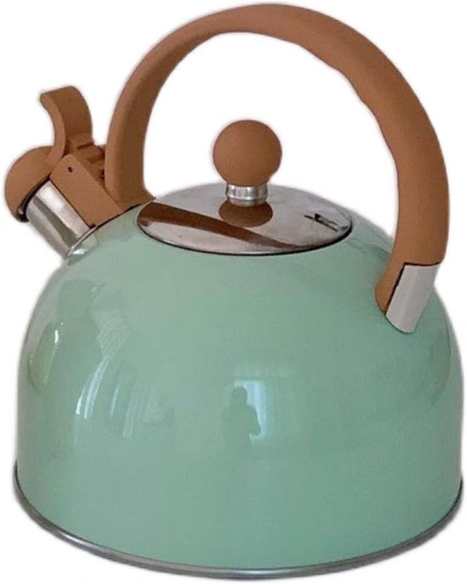 Waterkoker - Koffiezetter Ketel - Dranken Bereiden - Grote Capaciteit - 2.5 Liter - Mint Groen
