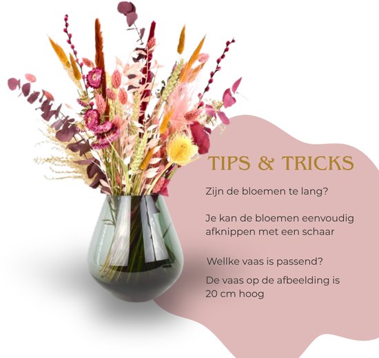 Groot boeket van droogbloemen in een vaas, met roze, paarse en oranje tinten. Textuele overlay met 'Tips & Tricks'.
