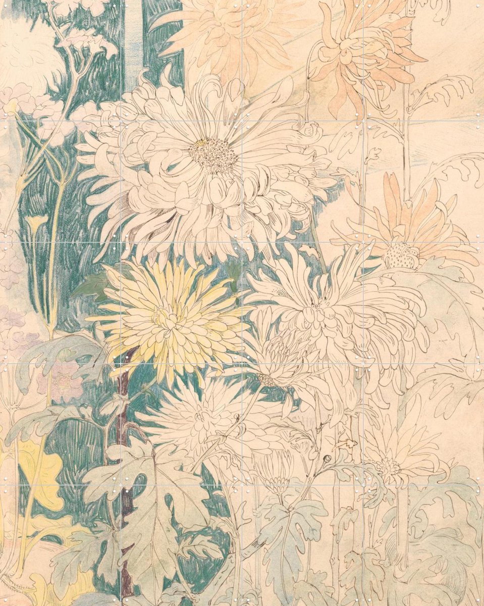 IXXI Chrysanten, Aster Edition - 80 x 100 cm - Gratis ophangtool - Grote wanddecoratie en posters - Vintage, Bloemen