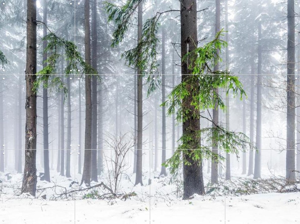 IXXI Panoramic Snow Forest, Jan Becke - 80 x 60 cm - Gratis ophangtool - Grote wanddecoratie en posters - Fotografie, Landschappen