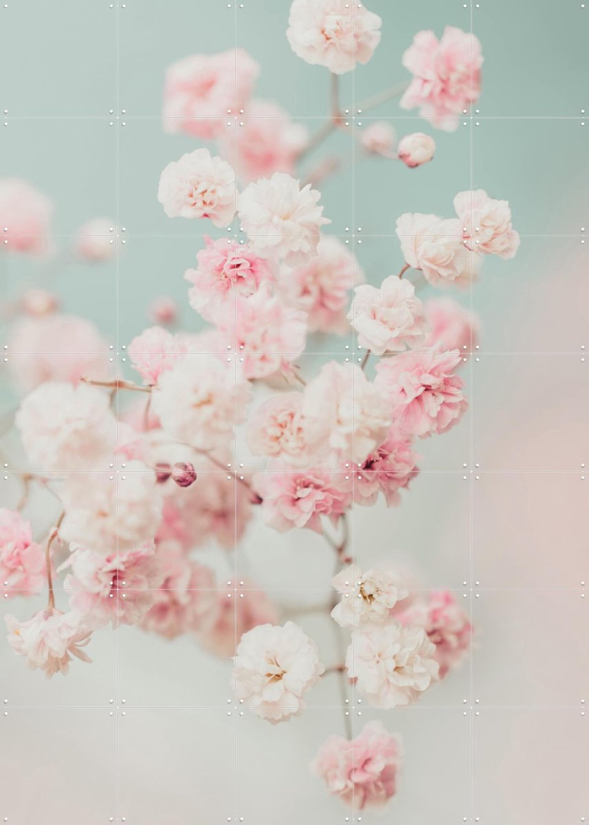 IXXI Pink Gypsophilia Flowers, Ingrid Beddoes - 100 x 140 cm - Gratis ophangtool - Grote wanddecoratie en posters - Kleurrijk, Fotografie, Botanisch