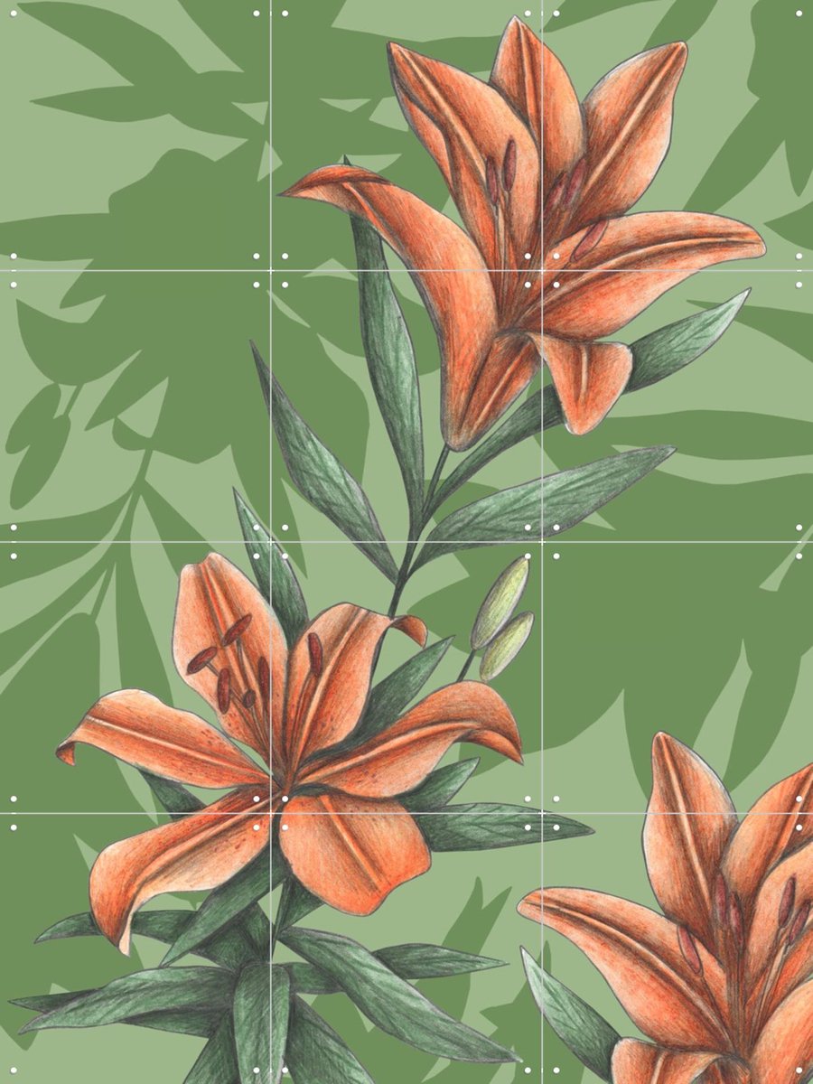 IXXI Orange Lilies, Cecilia Battaini - 60 x 80 cm - Gratis ophangtool - Grote wanddecoratie en posters - Naturalisme, Tekeningen, Illustraties