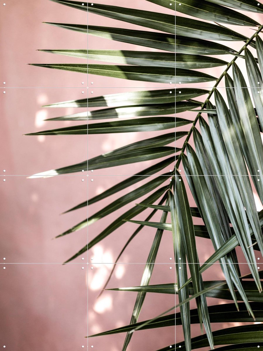 IXXI Palm Leaves 23, Mareike Böhmer - 60 x 80 cm - Gratis ophangtool - Grote wanddecoratie en posters - Fotografie, Woonkamer, Slaapkamer, Botanisch
