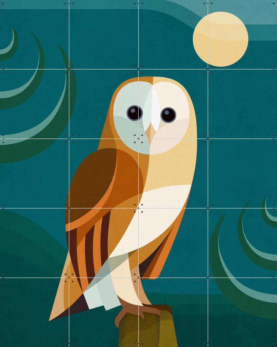 IXXI Uil, Elke Uijtewaal - 80 x 100 cm - Gratis ophangtool - Grote wanddecoratie en posters - Illustraties, Digitale Kunst, Grafisch Ontwerp