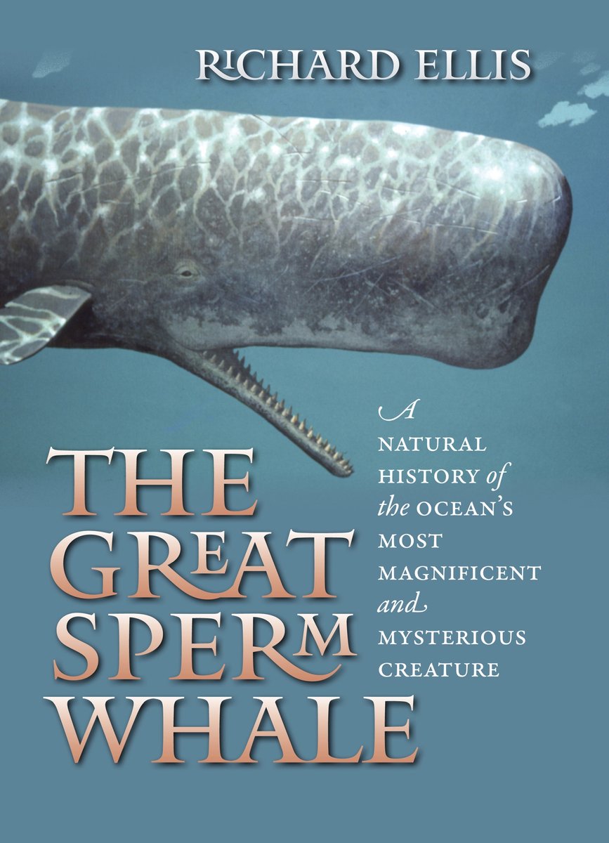 Omslag van Great Sperm Whale