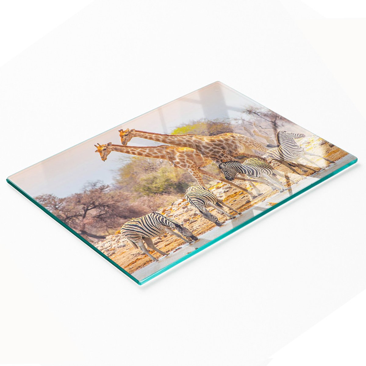 Decoratieve glazen snijplank voor in de keuken met giraffen en zebra's, 80x52 cm