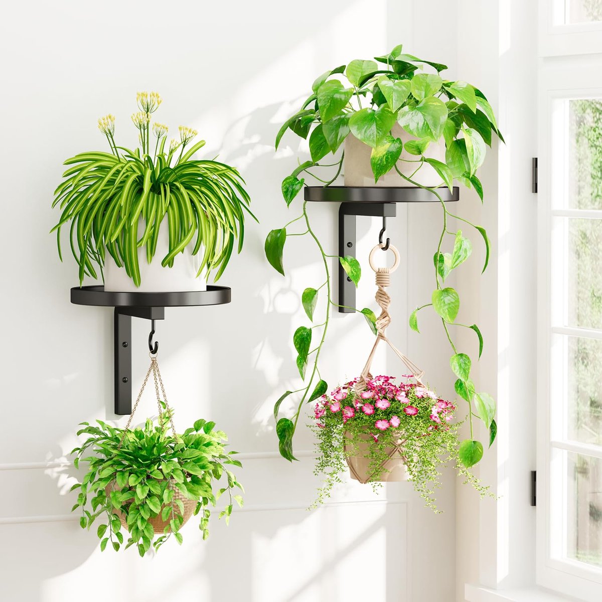 Set van 2 Plantenstandaards - Metalen hanger met 2 haken - Zwevend plantenrek voor aan het raam - Ruimtebesparend en eenvoudig te monteren