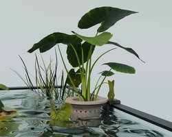 Hangende Aquarium Plantenhouder – Set van 3 – Aquarium Plantenbak voor Glasrand – Hydroponische Planter – Aquascape Accessoire