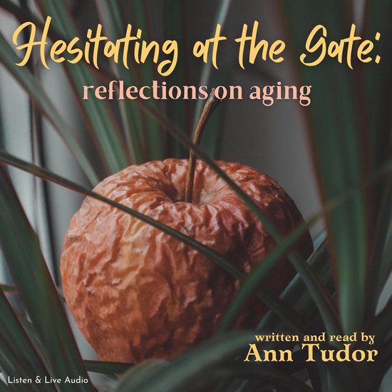 Hesitating at the Gate: Reflections on Aging - cover