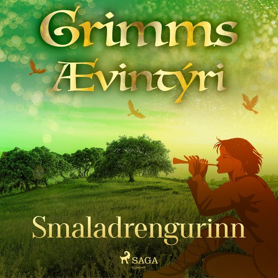 Smaladrengurinn - cover