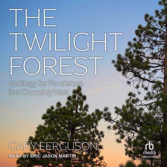 The Twilight Forest - cover