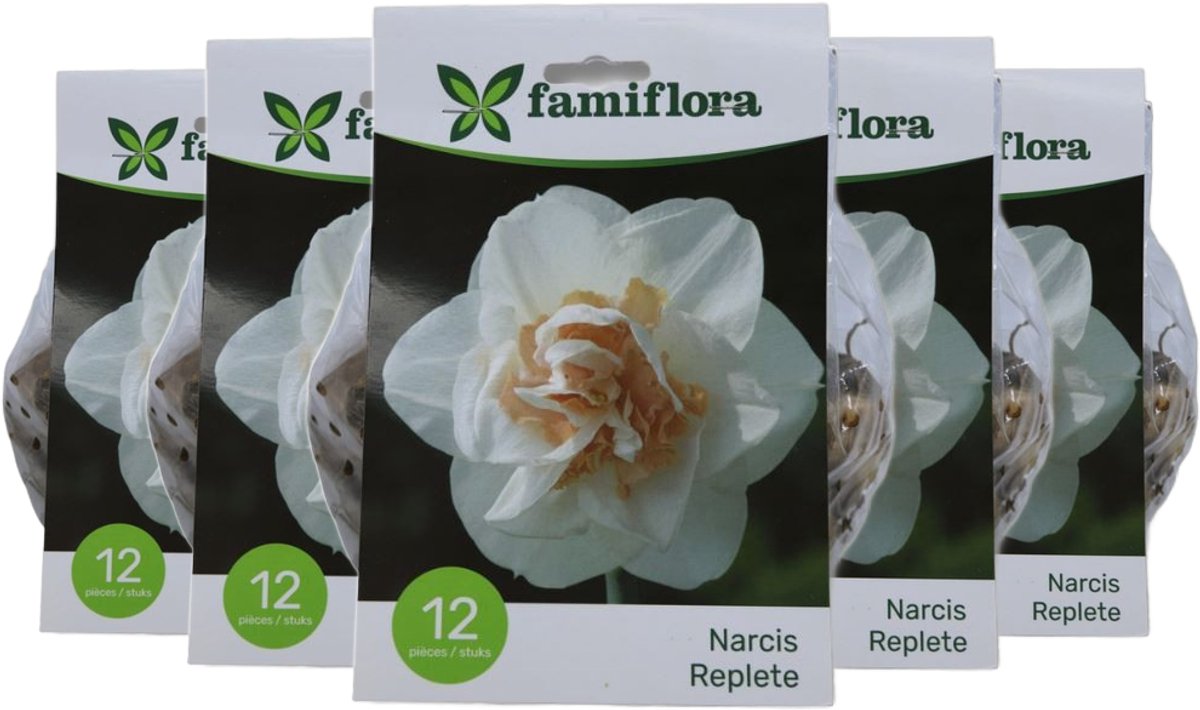 Famiflora Narcis replete 12/14 - 5 x 12 - 60 bloembollen - Weelderige bloei voor een luxe uitstraling in de tuin - Geeft een gevoel van elegantie en pracht waardoor je tuin opvalt