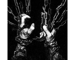 Within the Viscera