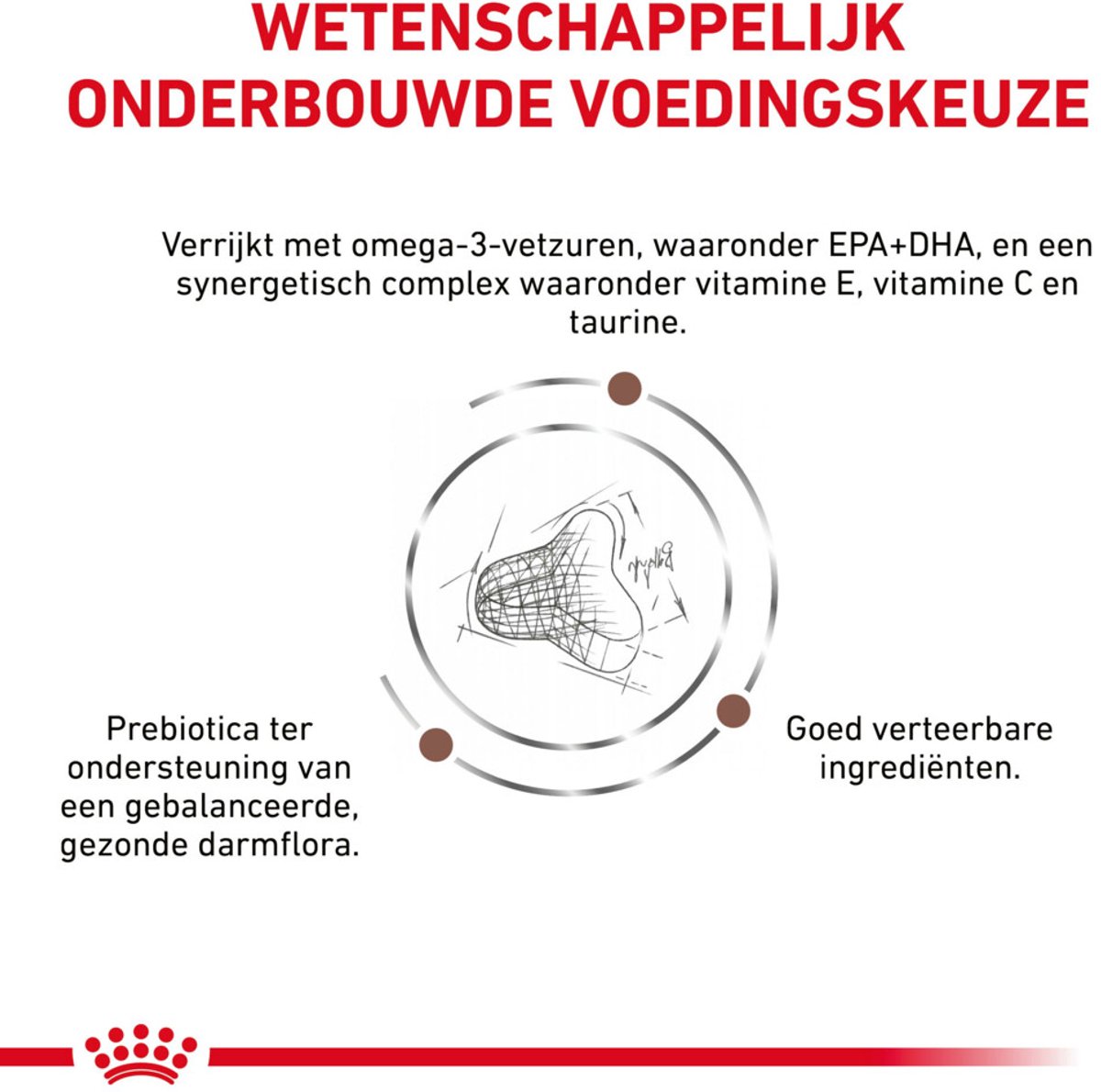Royal Canin VHN Serie - Droogvoer Kat thumbnail 4