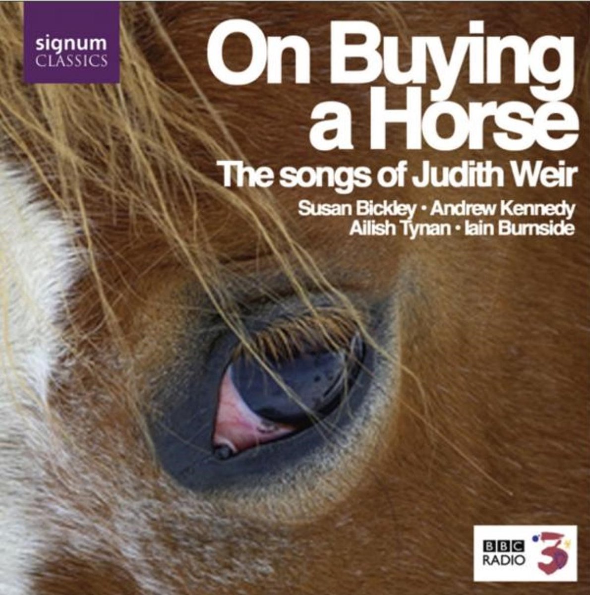 On Buying A Horse (Songs Of Judith Weir)