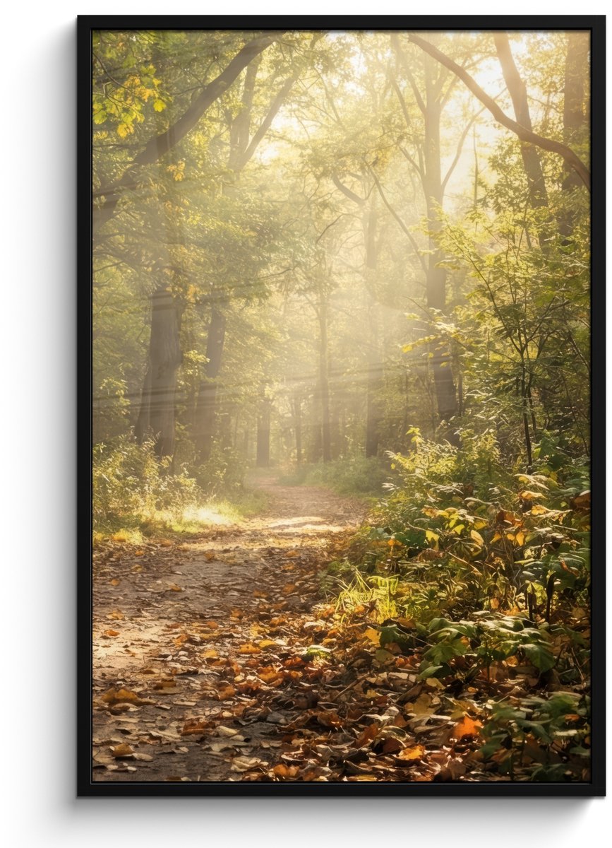 FrameYourWall Poster in lijst - Fotolijst 80x120 cm - Posters - Zonlicht - Bospad - Bomen - Posterlijst zwart - Decoratie - Wanddecoratie woonkamer - Muurdecoratie slaapkamer