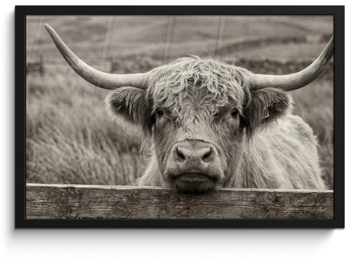 FrameYourWall Poster in lijst - Fotolijst 60x40 cm - Posters - Schotse hooglander - Zwart - Wit - Hout - Posterlijst zwart - Decoratie - Wanddecoratie woonkamer - Muurdecoratie slaapkamer