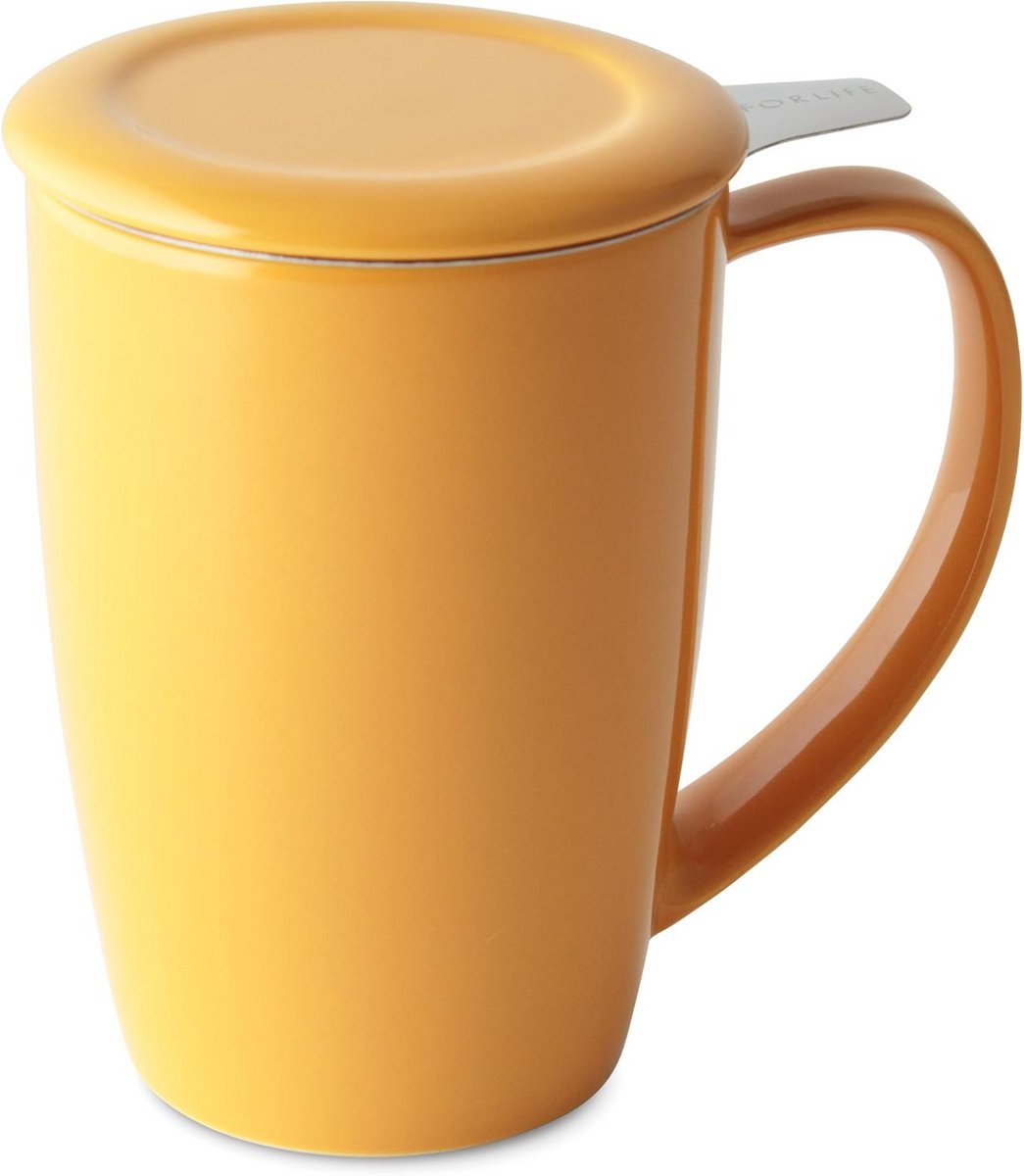 Grote Thee Mok met Thee Ei en Deksel 450ml - Voor Losse Thee