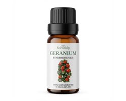 Scentulp - Geranium Etherische Olie 10 ml – Biologisch, Bloemig & Frisse Aromatherapie Olie voor Huidverzorging, Diffuser & Ontspanning