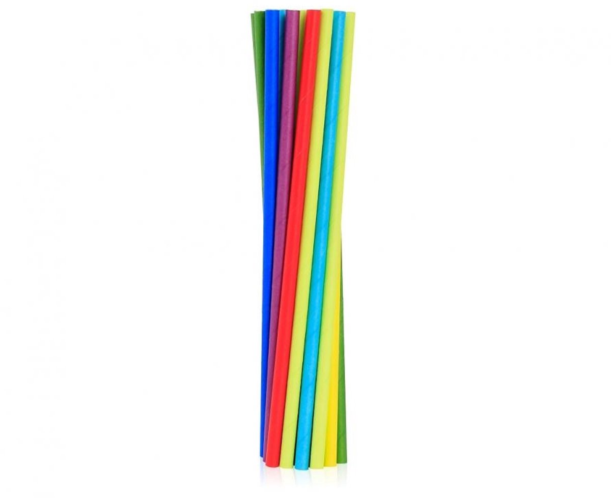 Colour Rainbow papieren rietjesset van 24