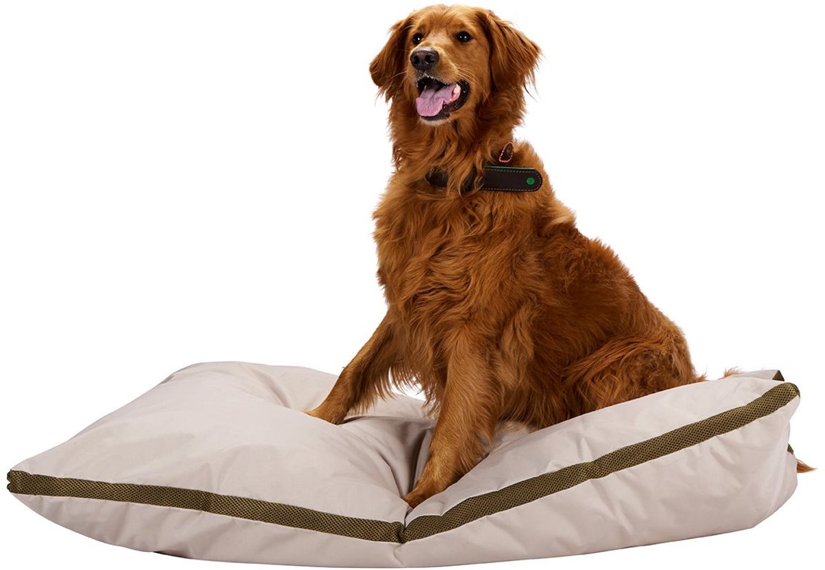 maxxpro Hondenbed M - Hondenkussen 70x100 cm - Beige
