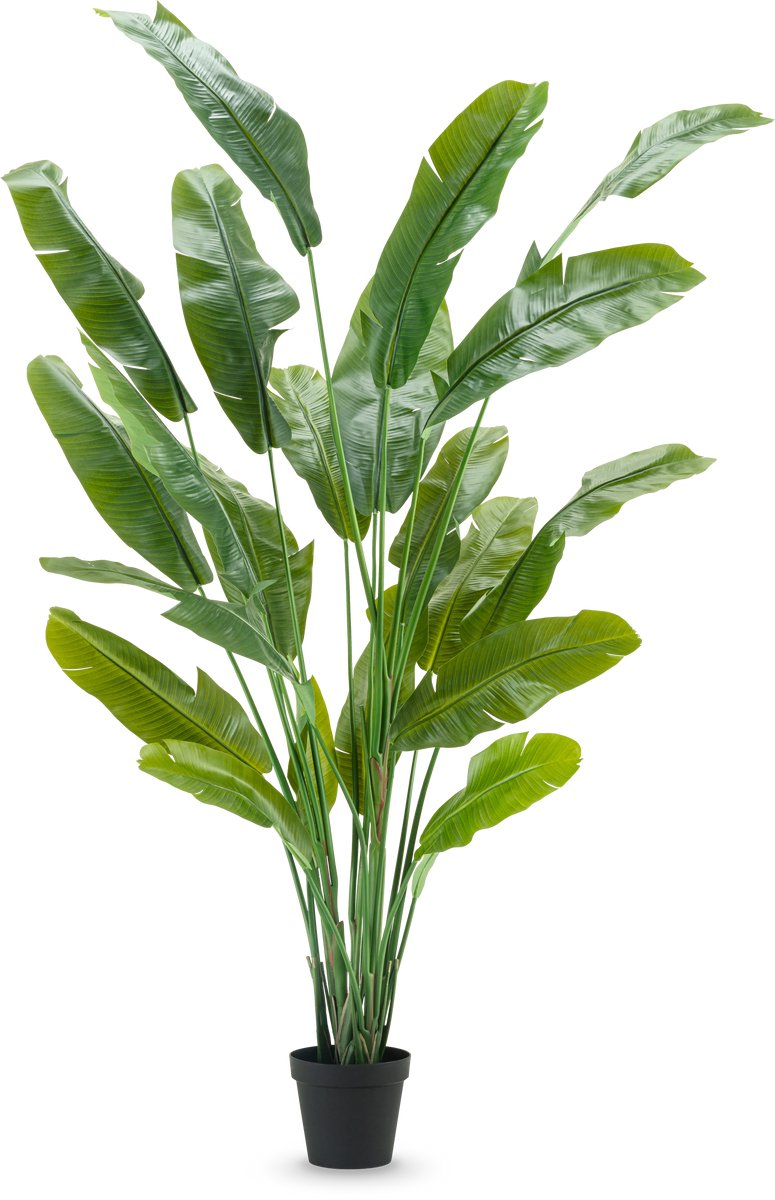 Easyplants | Kunstplant Strelitzia Nicolai Deluxe 235 cm | Zijde | Strelitzia | Groen