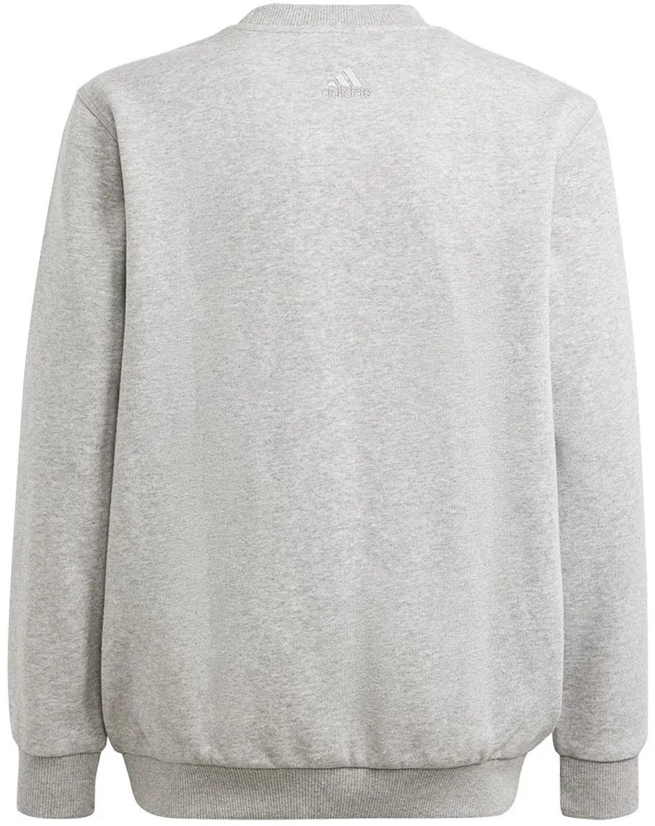 Adidas All Szn Graphic Sweatshirt 7-8 Years Kinderen Grijs