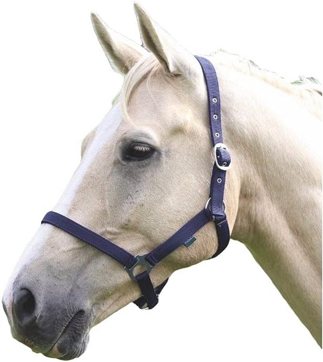 Verstelbaar Halster voor Pony en Klein Paard - Duurzaam Web