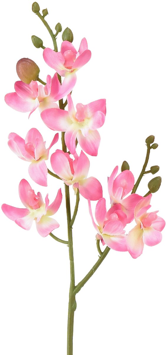 DPI GmbH Kleine Orchidee Phalaenopsis Kunstbloem Roze 30cm